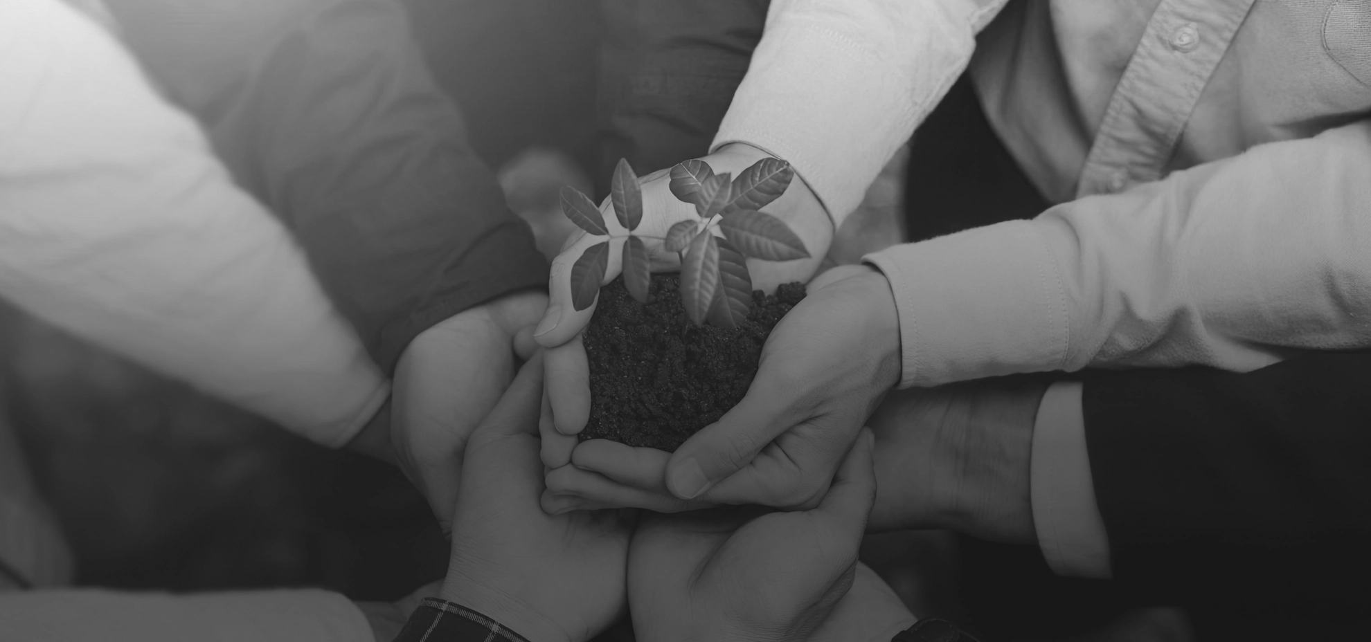 Building Sustainability for Businesses and Communities (การพัฒนาที่ยั่งยืน):  background image